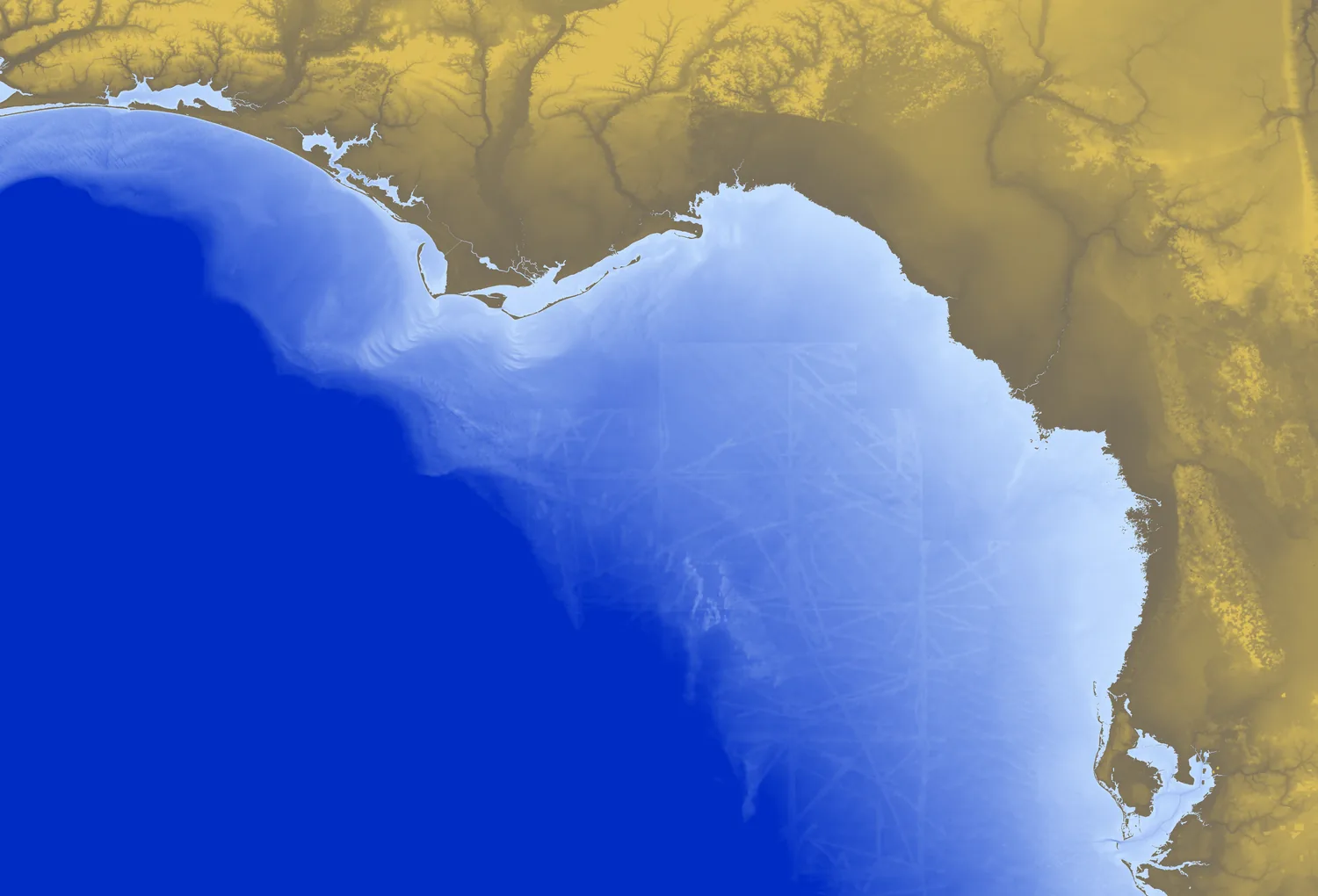 NOAA depth grid of the northeast Gulf of Mexico, with a wide pale shallow band along Florida's Big Bend coast